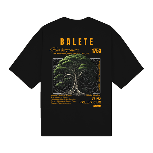 Balete - Puno Collection