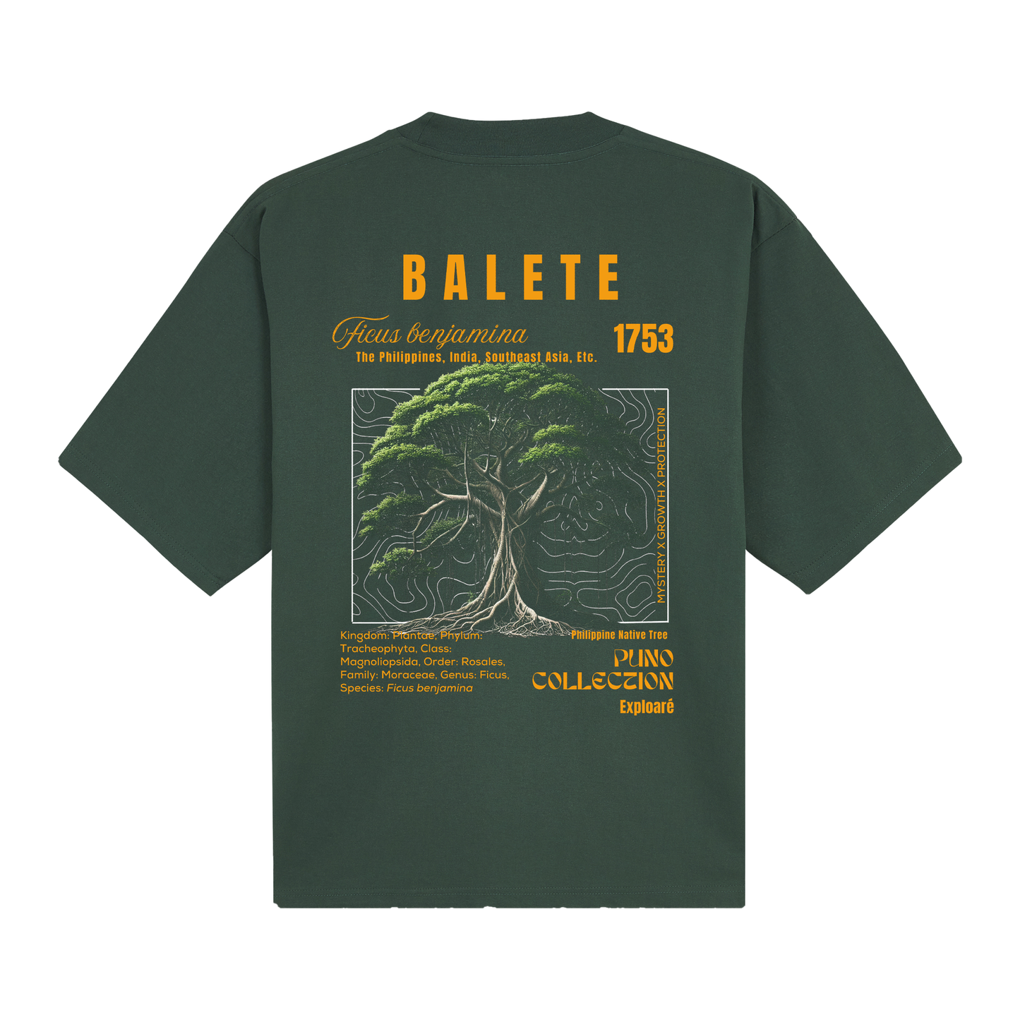 Balete - Puno Collection