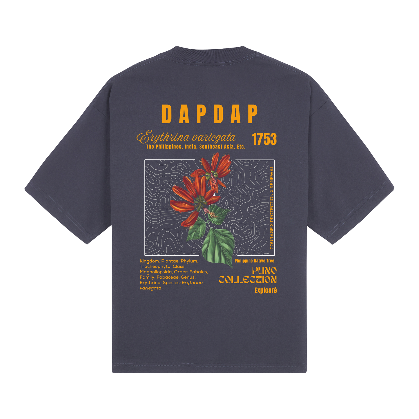 Dapdap - Puno Collection