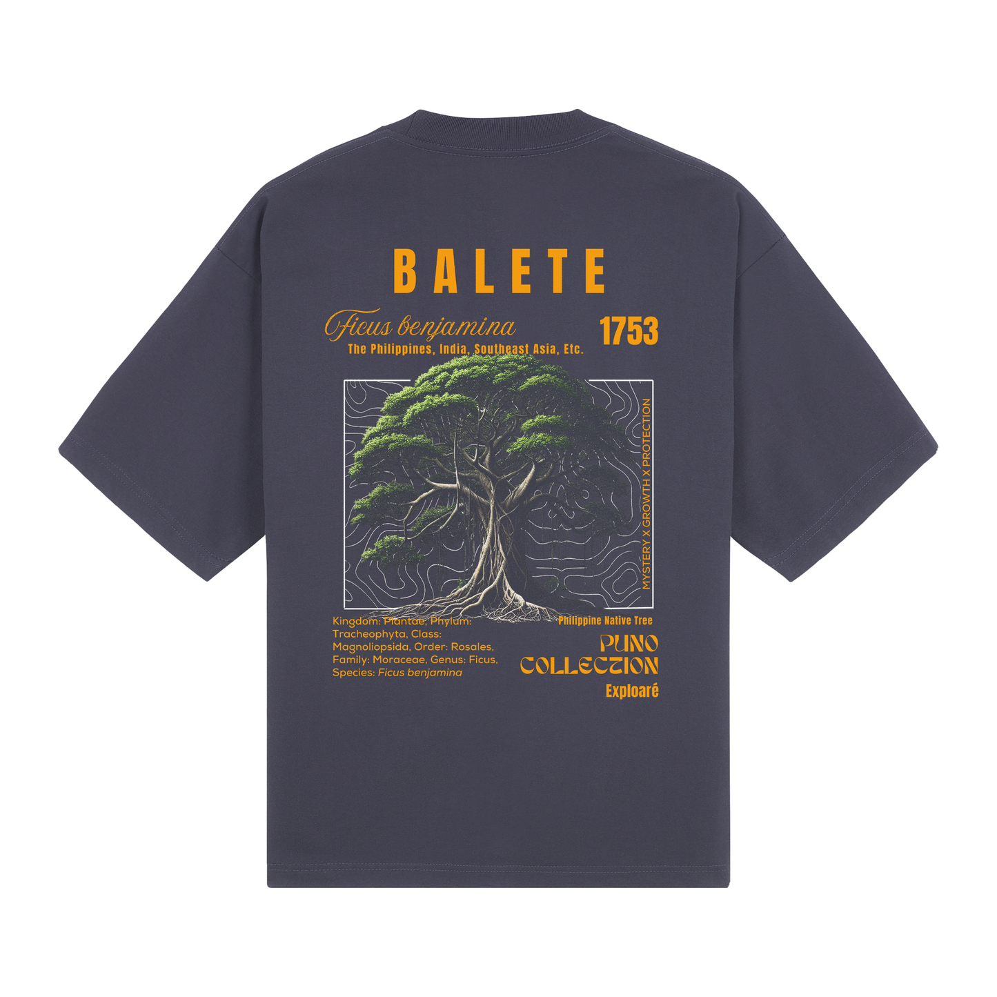 Balete - Puno Collection