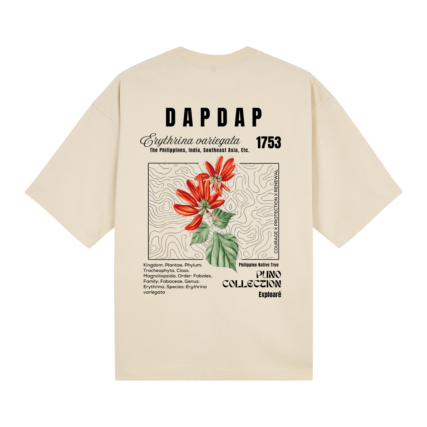 Dapdap - Puno Collection